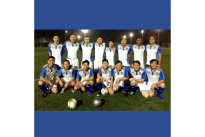 Sports Teams